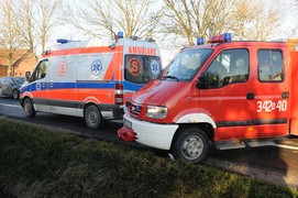 Kazimierzowo: kia na drzewie