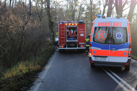 Astrą uderzyli w drzewo. Trzy osoby w szpitalu