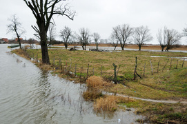 Powiało... i mamy cofkę