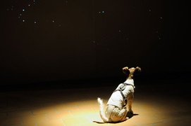 Sztuka bardzo wyjątkowa