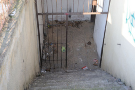 Wybierają wolność, która ich zabija