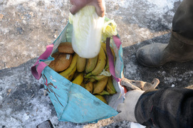 Wybierają wolność, która ich zabija