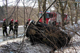 Piastowo: fordem uderzyła w drzewo