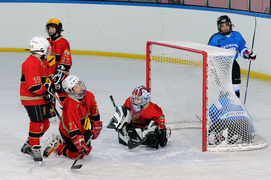 Brązowe medale dla Wikingów (hokej)