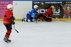 Brązowe medale dla Wikingów (hokej)