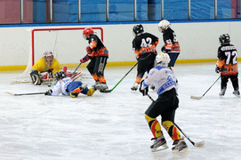 Brązowe medale dla Wikingów (hokej)