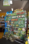 MGarden – Twój ogród naszą pasją!*