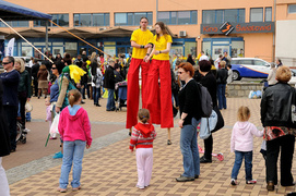 Żonkil – kwiat nadziei