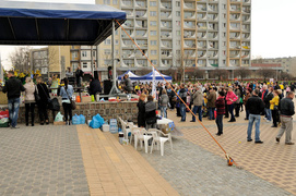 Żonkil – kwiat nadziei