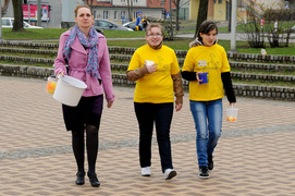 Żonkil – kwiat nadziei