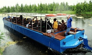 Każdy ma w sobie coś z dziecka