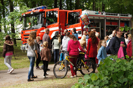 33. urodziny piegowatego króla