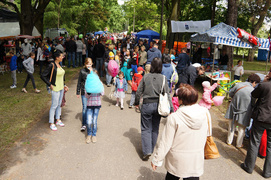 33. urodziny piegowatego króla