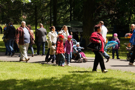 33. urodziny piegowatego króla