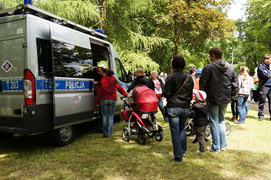 33. urodziny piegowatego króla