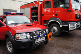 Strażacy zabezpieczają mecz Grecja - Niemcy