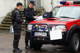 Strażacy zabezpieczają mecz Grecja - Niemcy