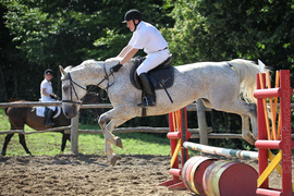 Piastowiada 2012 (skoki przez przeszkody)