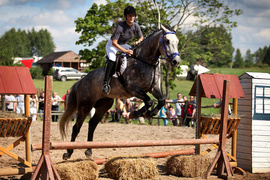 Piastowiada 2012 (skoki przez przeszkody)