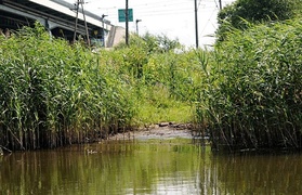 Zawsze jest „dziękuję” lub „przepraszam”