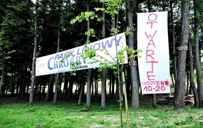 Linowe atrakcje w Elblągu