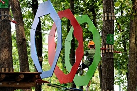 Linowe atrakcje w Elblągu