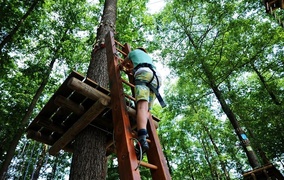 Linowe atrakcje w Elblągu