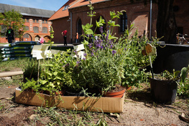 O ziołach prawie wszystko, czyli ziElbląg 2012