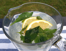 Ziołowy piknik na dziedzińcu Galerii EL