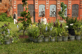 Ziołowy piknik na dziedzińcu Galerii EL