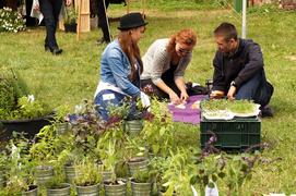 Ziołowy piknik na dziedzińcu Galerii EL