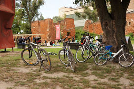 Ziołowy piknik na dziedzińcu Galerii EL