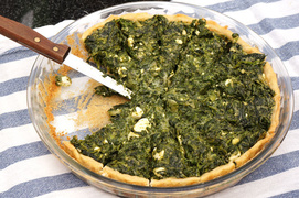 Ziołowy piknik na dziedzińcu Galerii EL