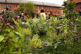 Ziołowy piknik na dziedzińcu Galerii EL