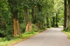 Mostki i objazdy niezgody