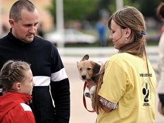 Nasi czworonożni przyjaciele