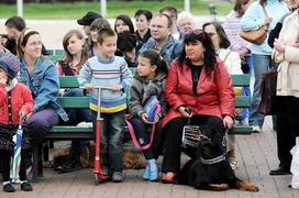 Nasi czworonożni przyjaciele