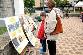 Szukajmy alternatywy dla samochodu Szukajmy alternatywy dla samochodu