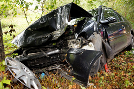 Helenowo: oplem w drzewo