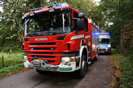 Helenowo: oplem w drzewo