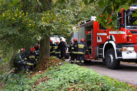 Helenowo: oplem w drzewo