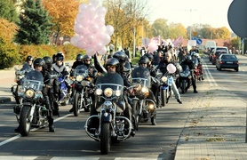 Elbląg się zaróżowił