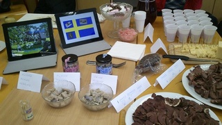 Wizyta ZSISiU w Czechach