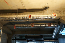 Wszystko idzie zgodnie z planem