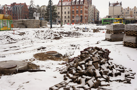 Nie ma róży bez kolców