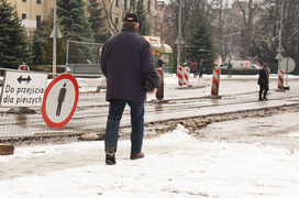 Nie ma róży bez kolców
