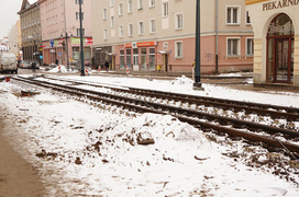 Nie ma róży bez kolców