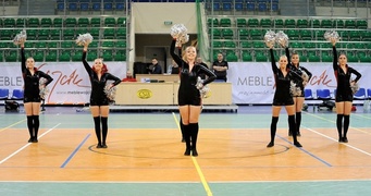 Lider okazał się za mocny (piłka ręczna)