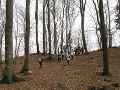 III zimowy spacer po Wysoczyźnie III zimowy spacer po Wysoczyźnie