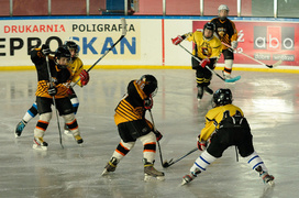 Nie da się zbudować hokeja z dnia na dzień